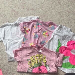 Zara Pink Graphic & White Short Sleeve Tee Lot